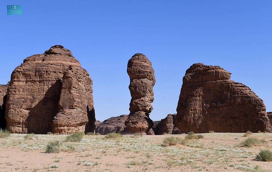 محمية شرعان بالعلا