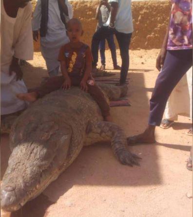  مزارع سوداني يصطاد تمساحا ضخما التهم شخصين