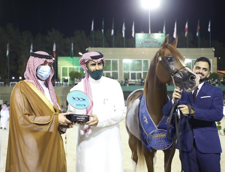 صور.. مستشار خالد الفيصل يتوج الفائزين ببطولة منطقة مكة المكرمة لجمال الجواد العربي 2020