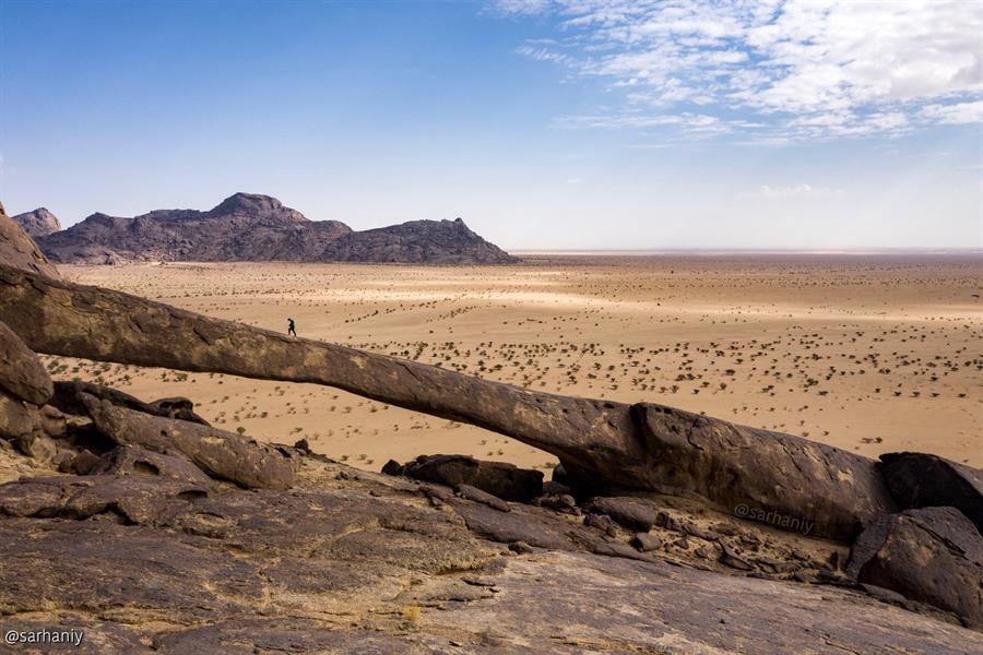 تصوير إبراهيم سرحان تصوير إبراهيم سرحان