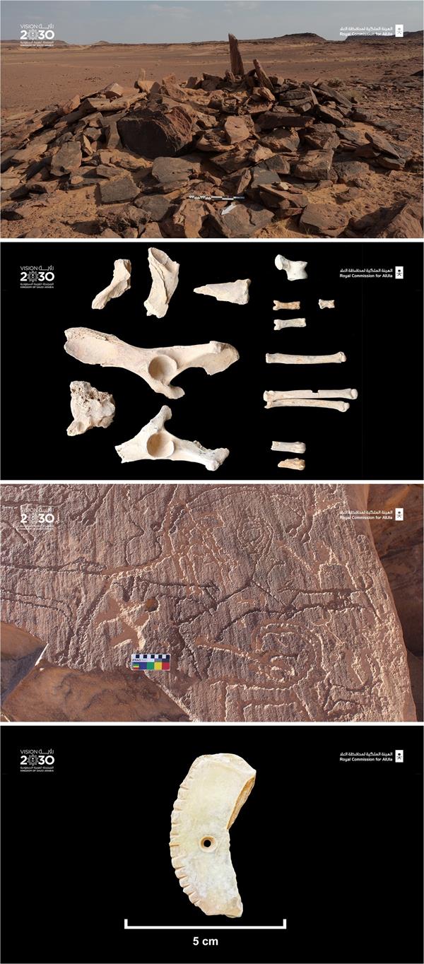اكتشاف مقبرة في العلا تحوي عظاماً لـ 11 شخصاً تعود إلى 4 آلاف سنة قبل الميلاد 