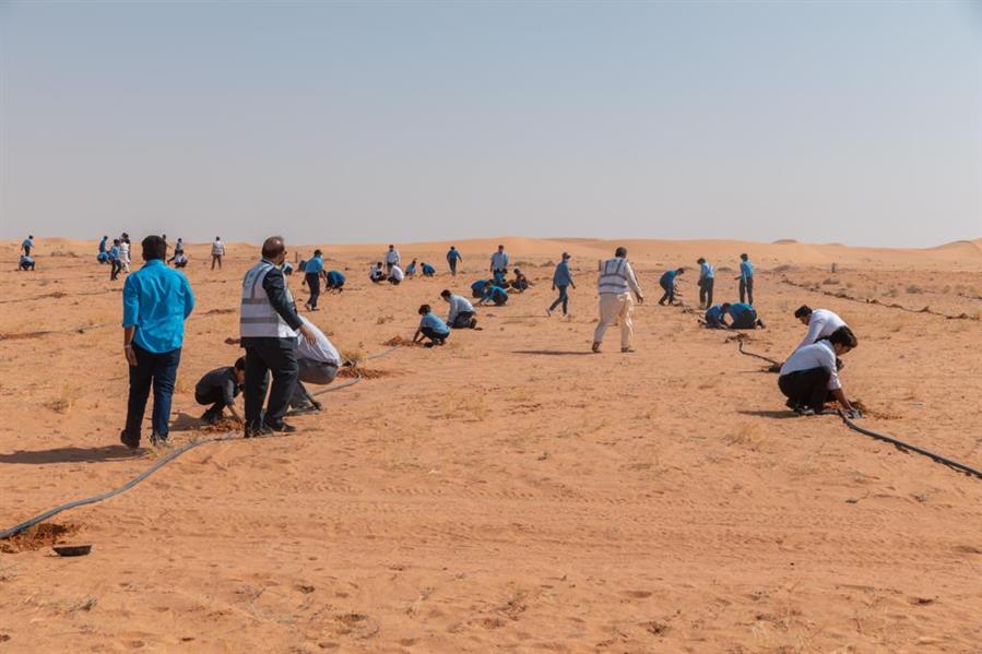 باكستانيون يشاركون في زراعة ألفي شجرة بمتنزه القصيم