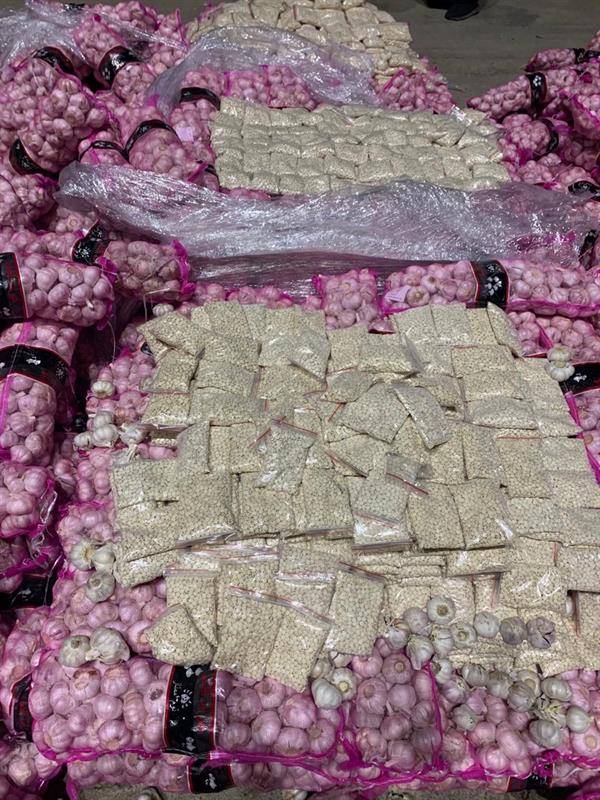 شاهد.. إحباط محاولة تهريب أكثر من 11 مليون قرص إمفيتامين مخدر مخبأة داخل شحنة شاهد.. إحباط محاولة تهريب أكثر من 11 مليون قرص إمفيتامين مخدر مخبأة داخل شحنة