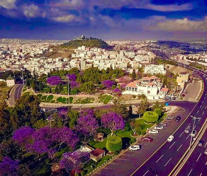 الهيئة السعودية للسياحة