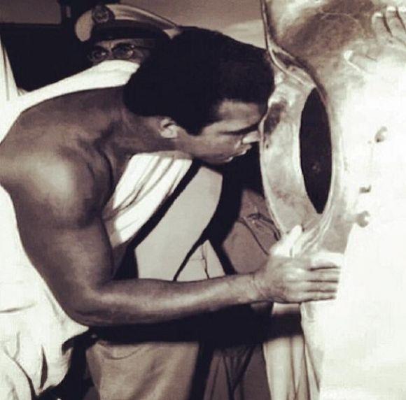 محمد عي كلاي