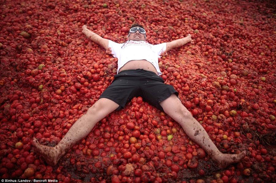 مهرجان الطماطم مهرجان الطماطم