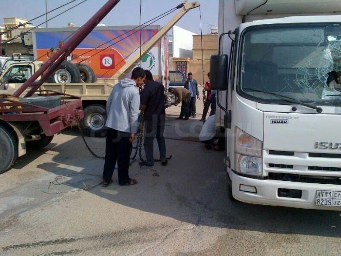  انقلاب دينا دجاج الوطنية 