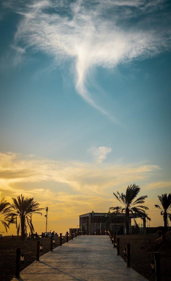 اوايسس الرياض اوايسس الرياض