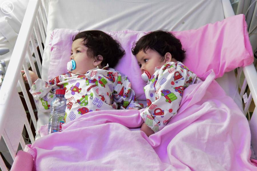 الصور الصور