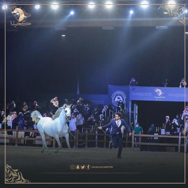 انطلاق بطولة 