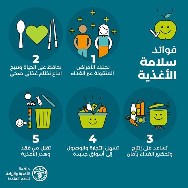 في اليوم العالمي لسلامة الأغذية .. حقائق وأرقام ونصائح لغذاء آمن في اليوم العالمي لسلامة الأغذية .. حقائق وأرقام ونصائح لغذاء آمن