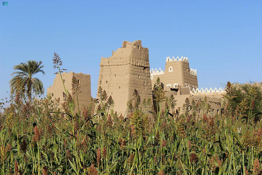 البيوت والقصور الطينية بنجران