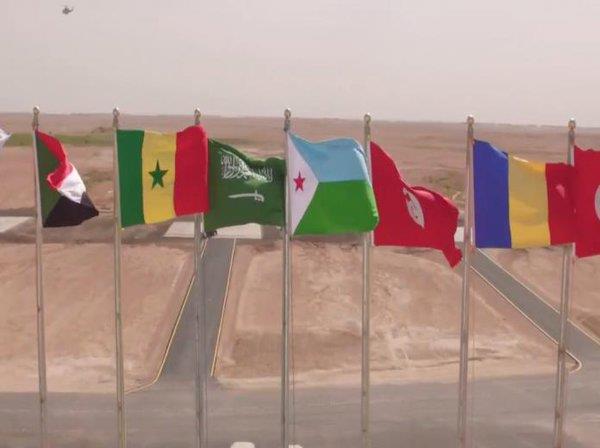 الصورة الصورة