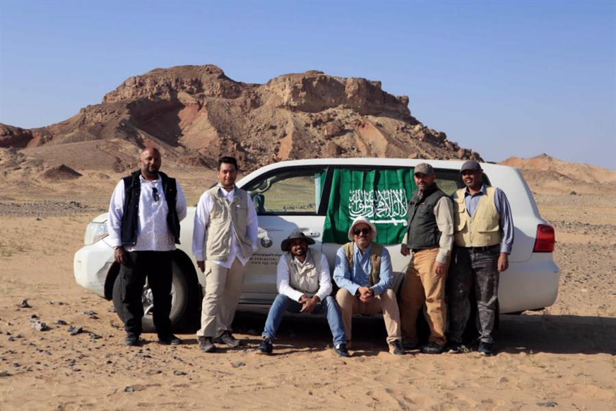 اكتشاف بقايا زواحف بحرية تعود لـ 80 مليون سنة غرب المملكة 