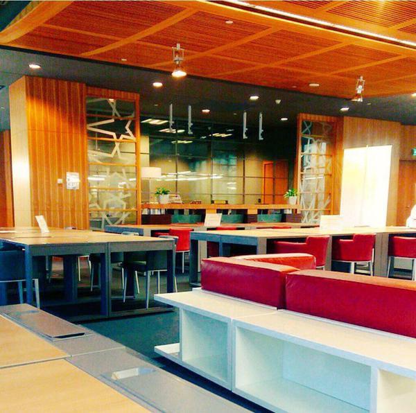 الصور الصور