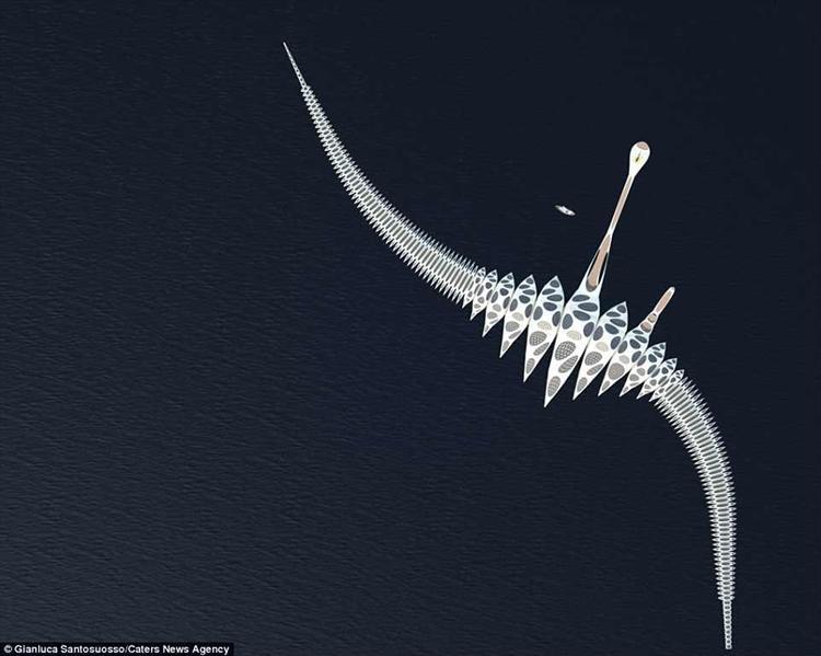 الفندق عائم الفندق عائم