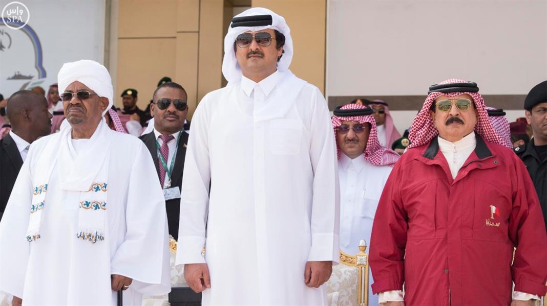 لقطات مميزة من العرض العسكري الختامي لتمرين رعد الشمال