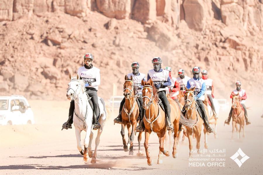 صور.. ولي عهد دبي يشارك في كأس الملك للقدرة والتحمل بالعلا صور.. ولي عهد دبي يشارك في كأس الملك للقدرة والتحمل بالعلا