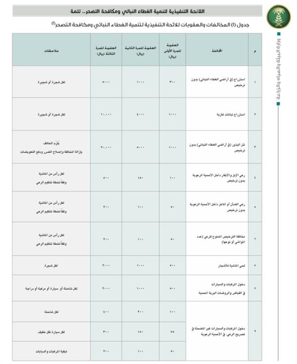 "البيئة والمياه" تكشف تفاصيل اللائحة التنفيذية لتنمية الغطاء النباتي ومكافحة التصحر والعقوبات المقررة 