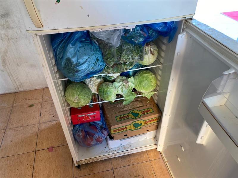 الاحساء الاحساء