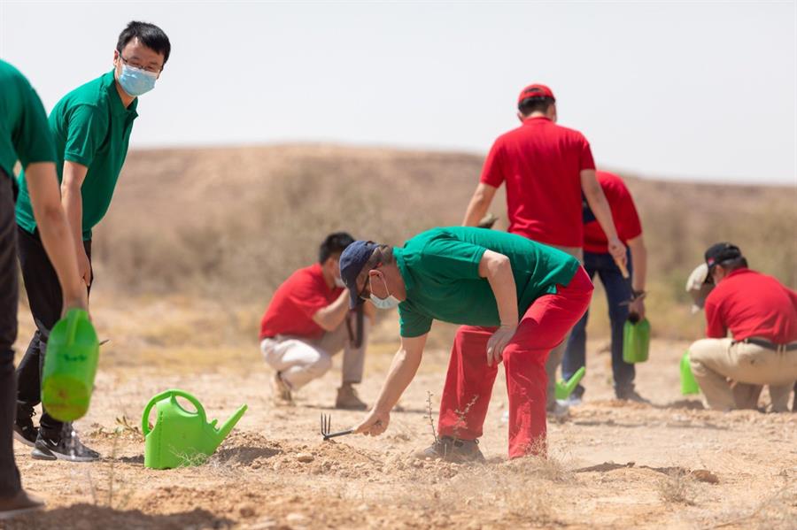 السفير الصيني يدعم مبادرة "السعودية الخضراء" بالمشاركة في حملة التشجير بحريملاء 