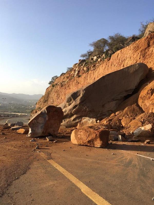 الصورة الصورة