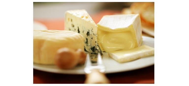 منتجات الألبان