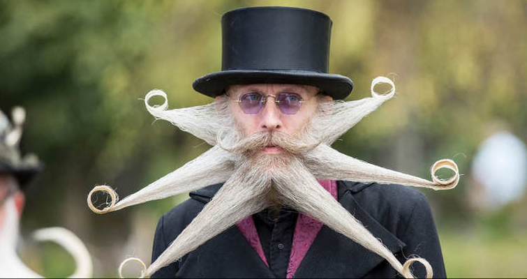 تستضيف مدينة 