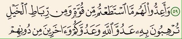 ناجي عطا الله 24