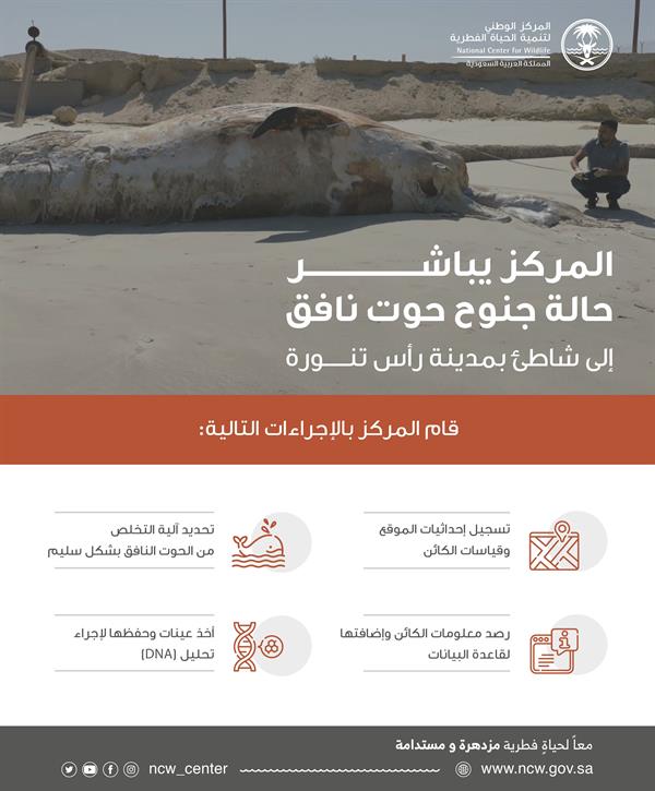 تنمية الحياه الفطريه