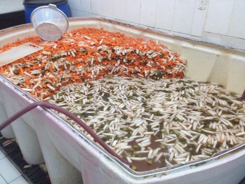 المخللات في احواض ملوثة بالحشرات