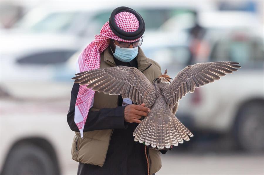  مهرجان الملك عبدالعزيز للصقور