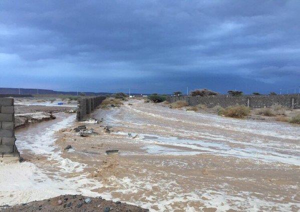 بالفيديو والصور.. أمطار وسيول بعدد من الأودية بمنطقة تبوك صباح اليوم
