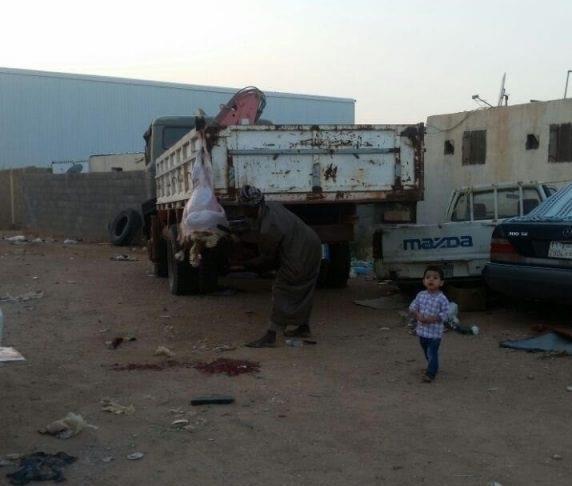 سلخ اﻷغنام بطريقة مخالفة بالشمالية