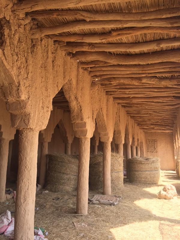 بالفيديو والصور.. أصحاب المواشي يحولون مسجداً أثريا بضرماء إلى مستودع للأعلاف