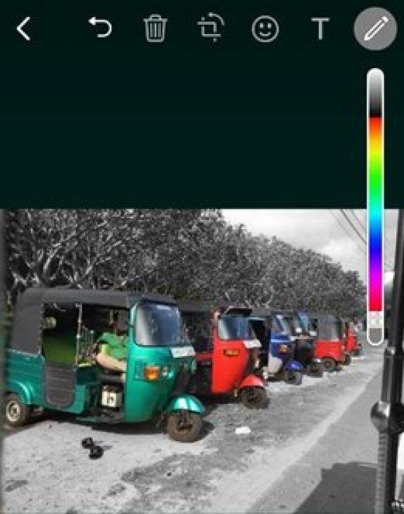 الصورة الصورة