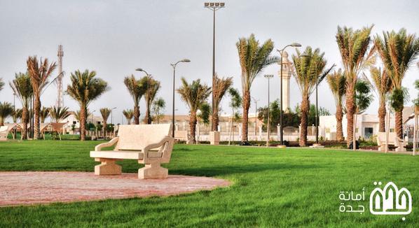 الصور