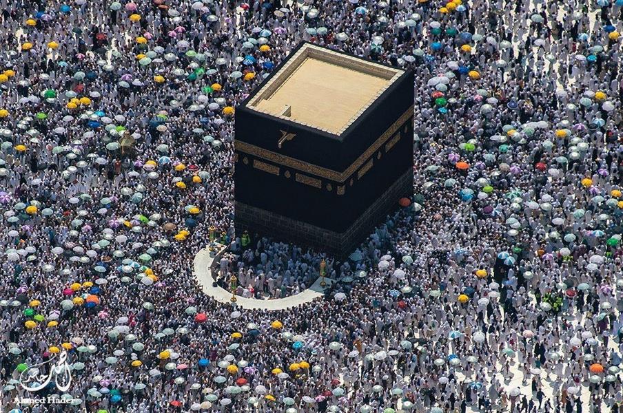 الحجاج الحجاج