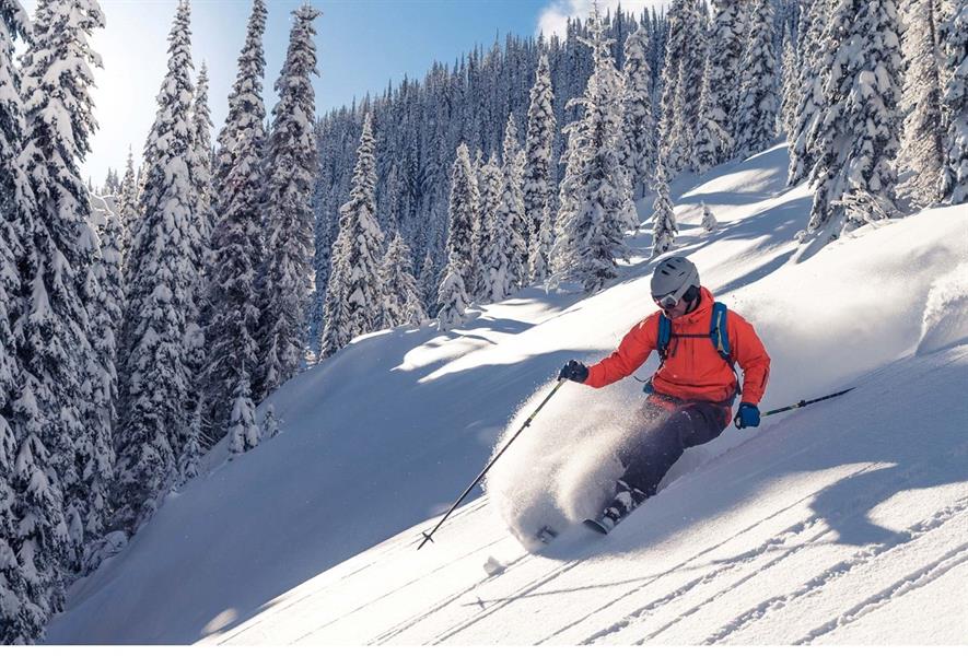 البني الفاتح