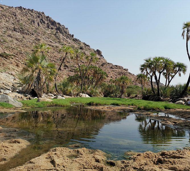 معالم المملكه معالم المملكه