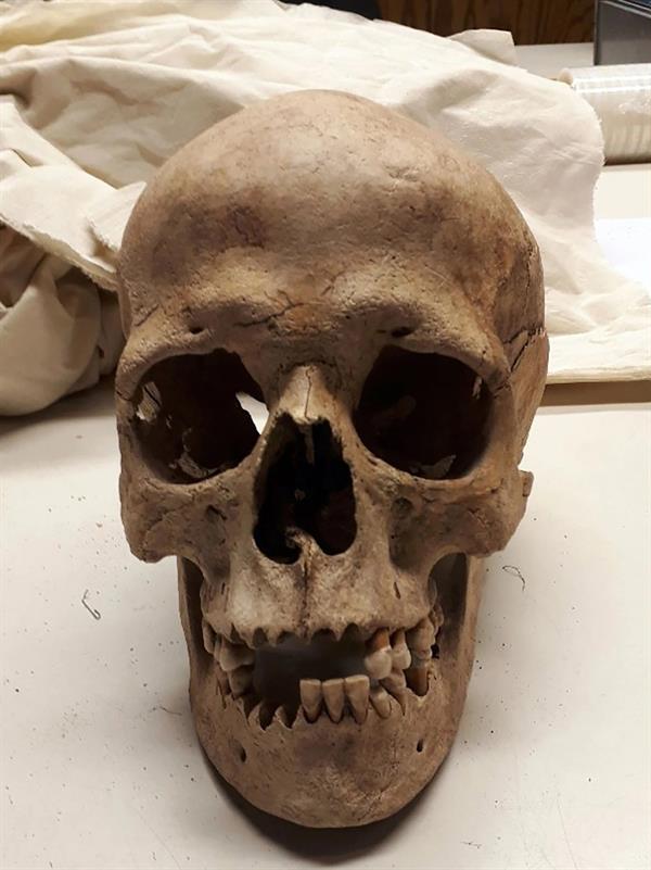 المرأة الحجرية