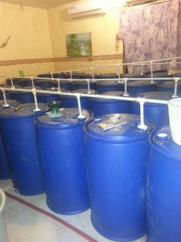 ضبط مصنعين للخمور في وادي نعمان بمكة ضبط مصنعين للخمور في وادي نعمان بمكة