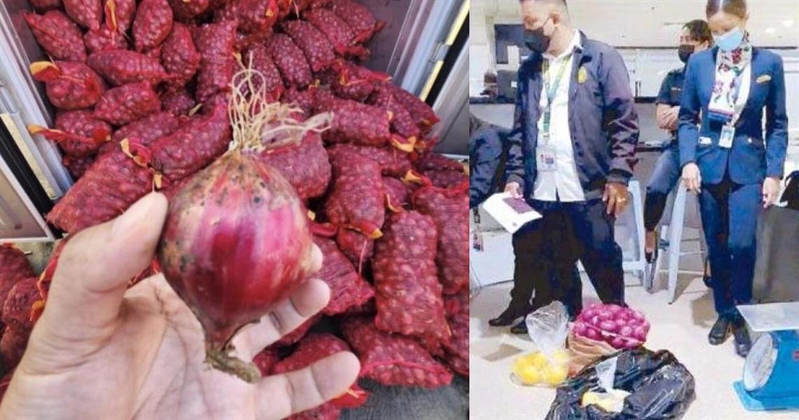 الفلبين .. إيقاف 10 مضيفات طيران بتهمة تهريب البصل