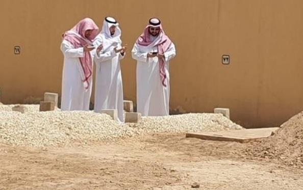 صورة  صورة