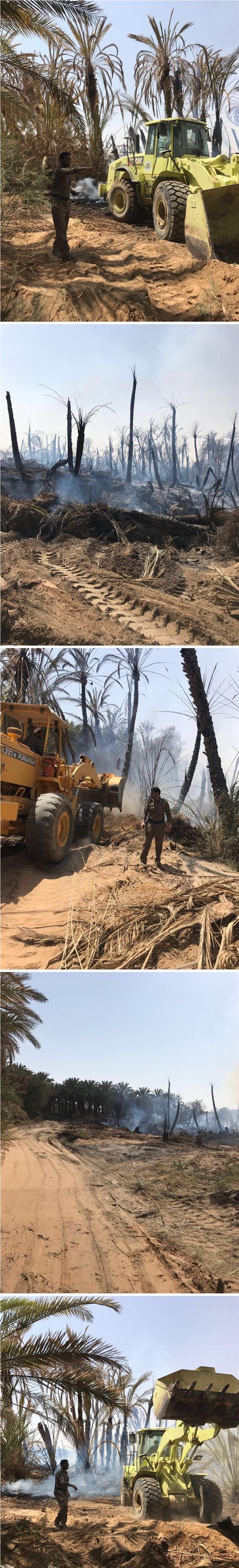 الدفاع المدني يسيطر على حريق بمزارع نخيل بوادي الدواسر