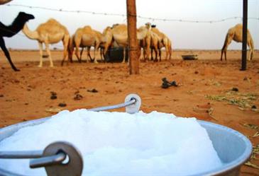 تعبيرية تعبيرية