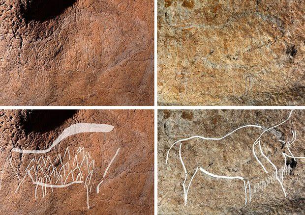 علماء آثار إسبان يكتشفون رسومات كهف