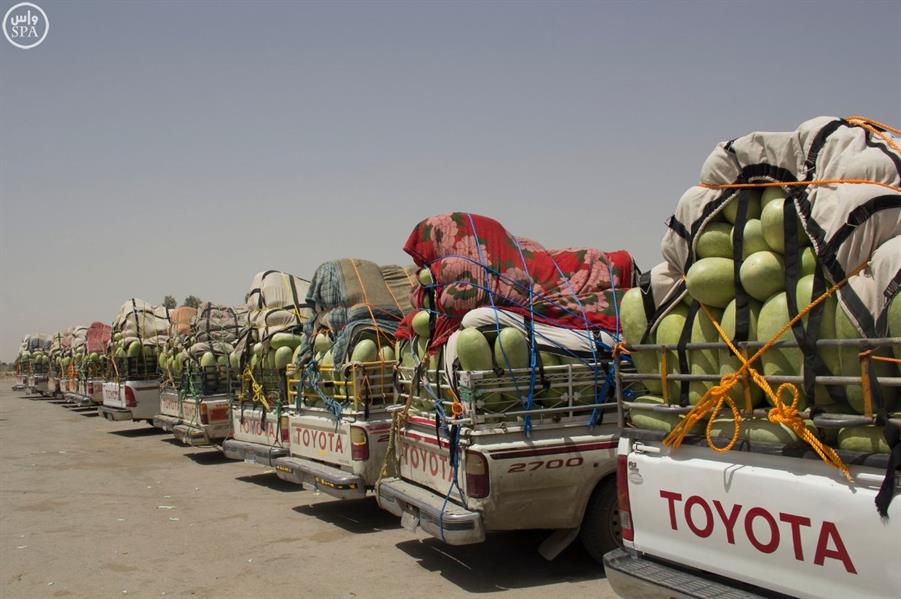 500 مركبة تنقل يوميًا حبحب وادي الدواسر للسوق 500 مركبة تنقل يوميًا حبحب وادي الدواسر للسوق