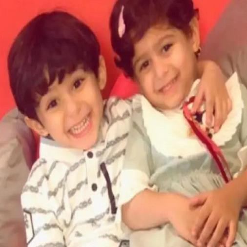 التوأم التوأم