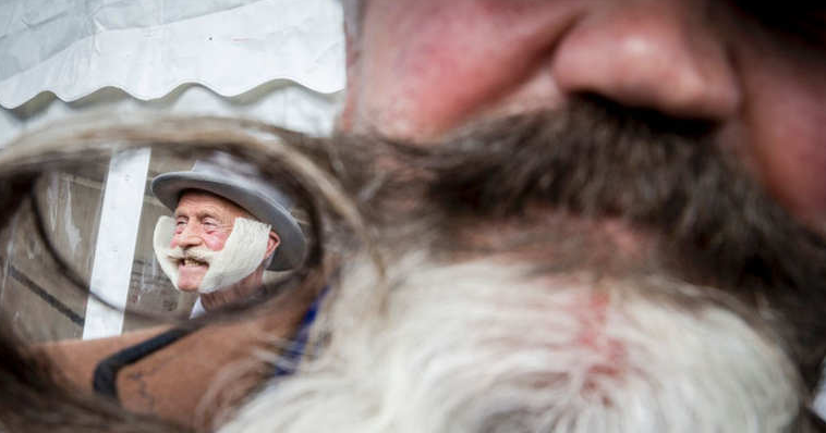 تستضيف مدينة 